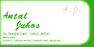 antal juhos business card